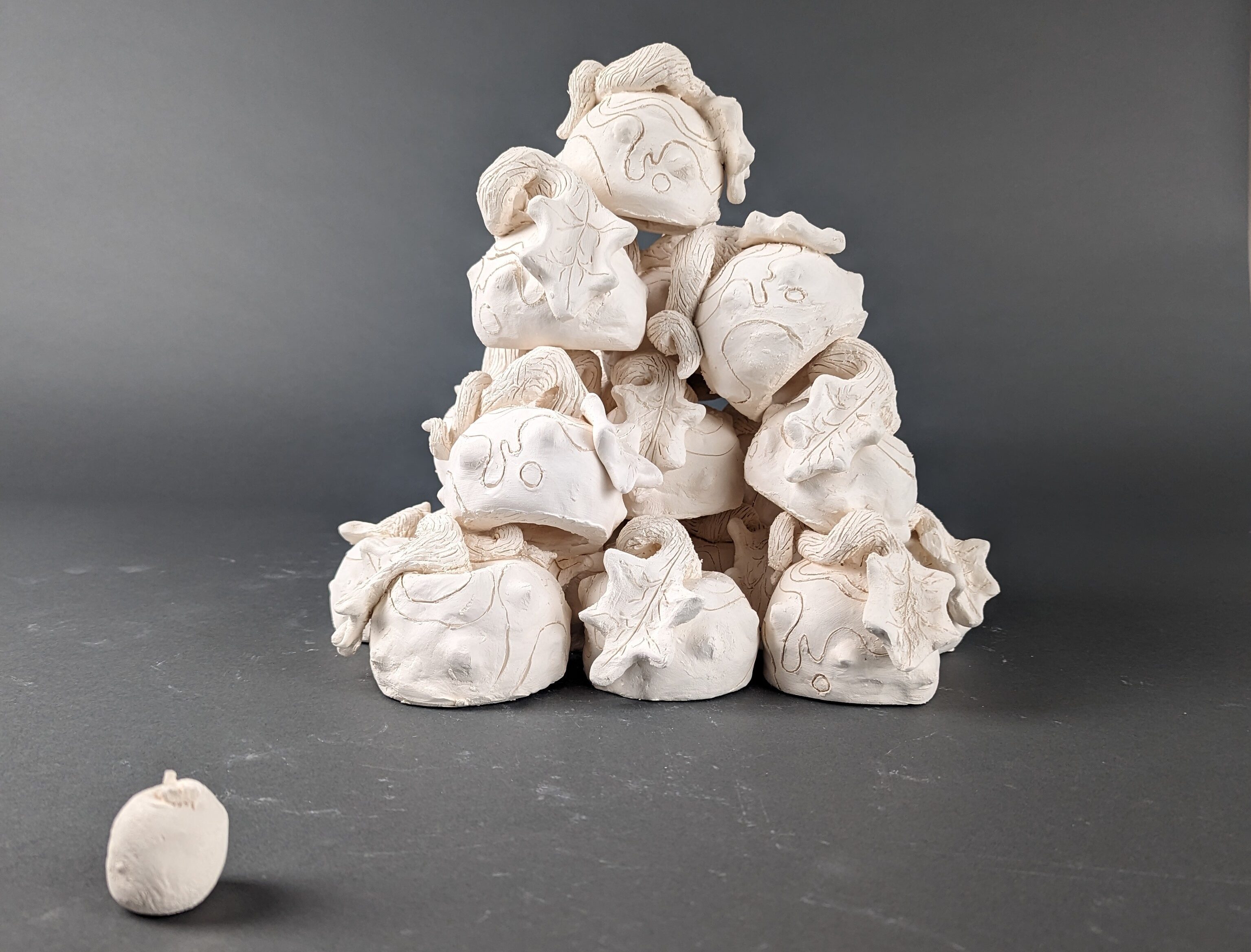 Sculpted wild apples