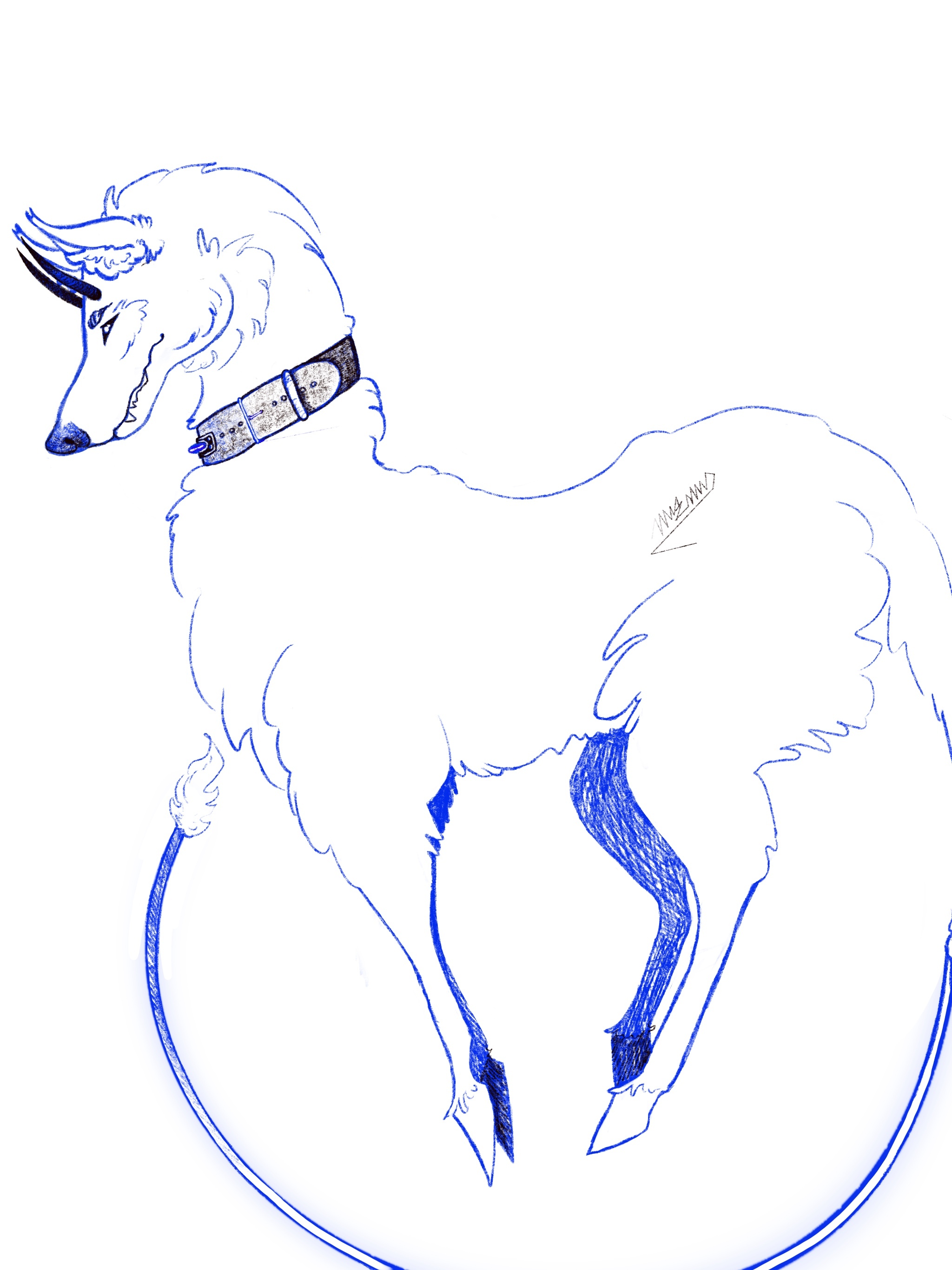 a wolf like horse creature standing in zero gravity.