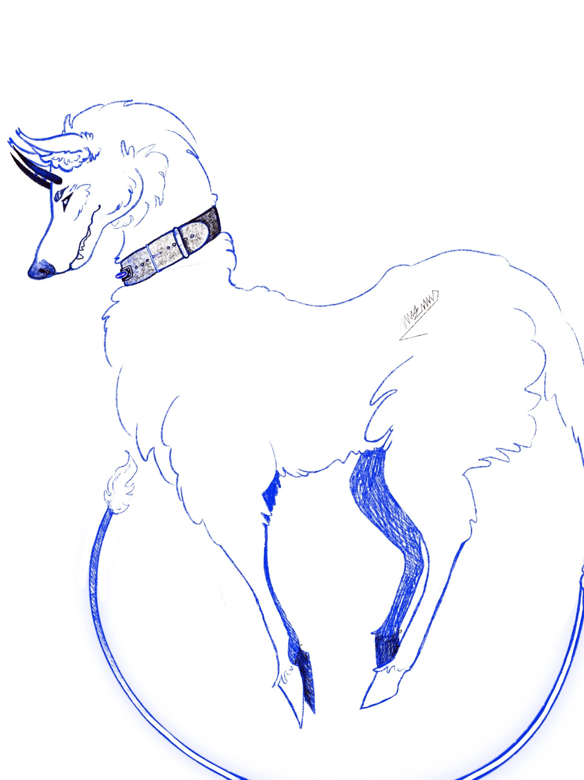 a wolf like horse creature standing in zero gravity.